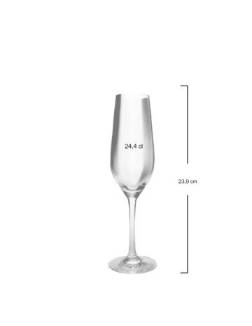 Copa champagne 24,4cl "FENIX" (6uds) 2
