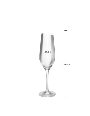 Copa Champagne 24,4cl FENIX Zwiesel (6uds)