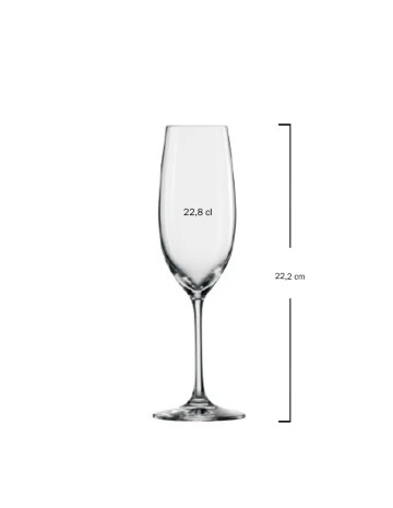 Copa champagne 22,8cl "IVENTO" (6uds) 2