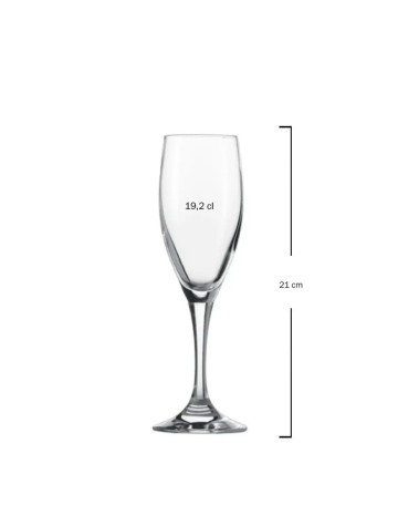 Copa champagne 19,2cl "MONDIAL" (6uds) 2