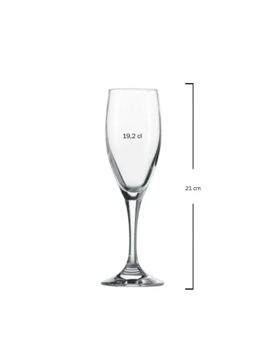 Copa champagne 19,2cl MONDIAL Zwiesel (6uds)