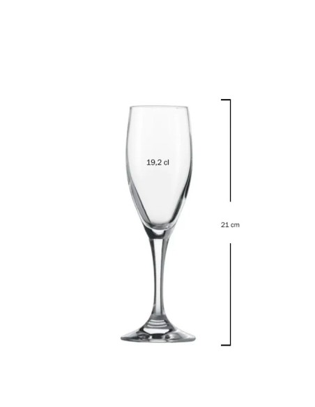 Copa champagne 19,2cl MONDIAL Zwiesel (6uds)