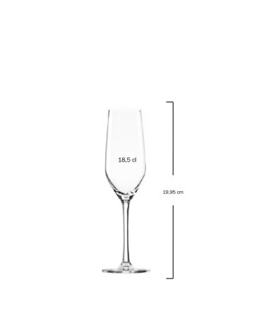 Copa champagne 18,5cl "ULTRA" (6uds) 2