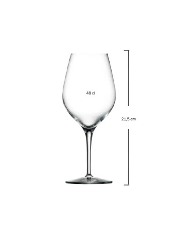 Copa de vino 48cl EXQUISIT  Soler Hispania (6uds) 2