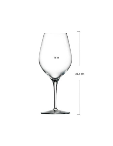 Copa de vino 48cl EXQUISIT  Soler Hispania (6uds)