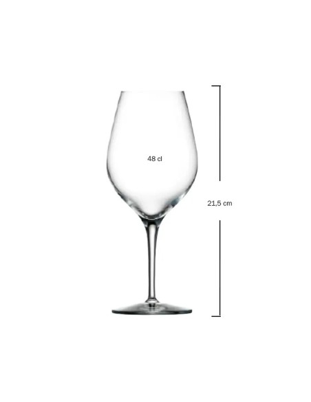 Copa de vino 48cl EXQUISIT  Soler Hispania (6uds)