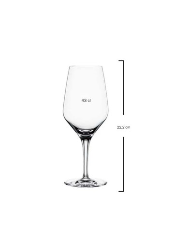 Copa Allround Nº2 43cl (12Uds) 2