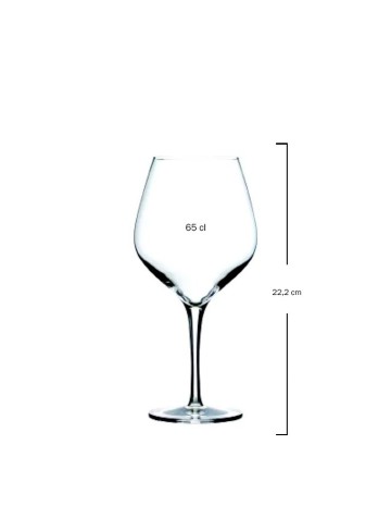 Copa borgoña 65cl "EXQUISIT" (6uds) 2