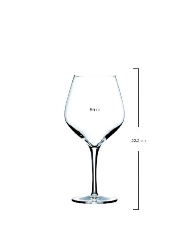 Copa borgoña 65cl EXQUISIT Soler Hispania (6uds)