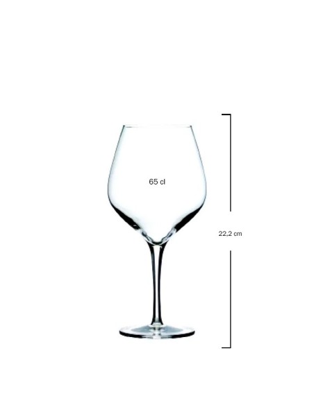 Copa borgoña 65cl EXQUISIT Soler Hispania (6uds)