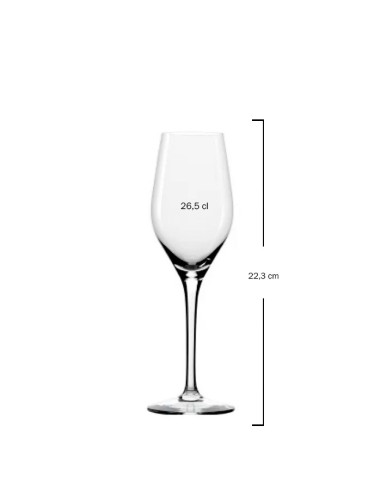 Copa champagne 26,5cl EXQUISIT Soler Hispania (6uds)