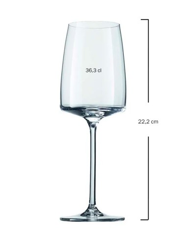 Copa Champagne 36,3cl SENSA Zwiesel (6uds)