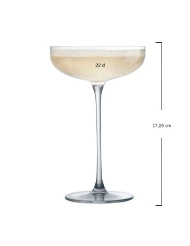 Copa Coupe Savage 22cl (6Uds)