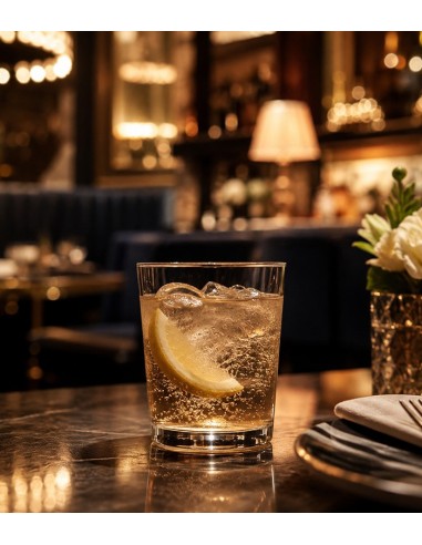 Vaso 21,3cl BASIC BAR de Zwiesel (6uds)