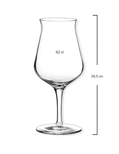 Copa de cerveza Birrateque 42cl de Tognana (6Uds)