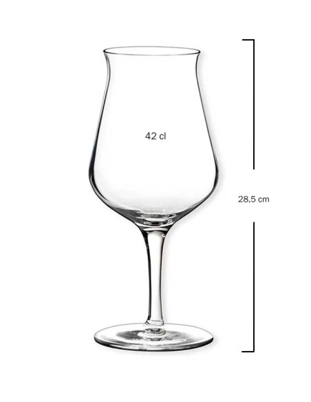 Copa de cerveza Birrateque 42cl de Tognana (6Uds)