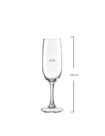 Copa de champagne 17cl "SYRAH" (6uds) 2