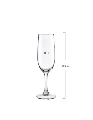 Copa de Champagne Syrah 17cl - Vicrila (6uds)