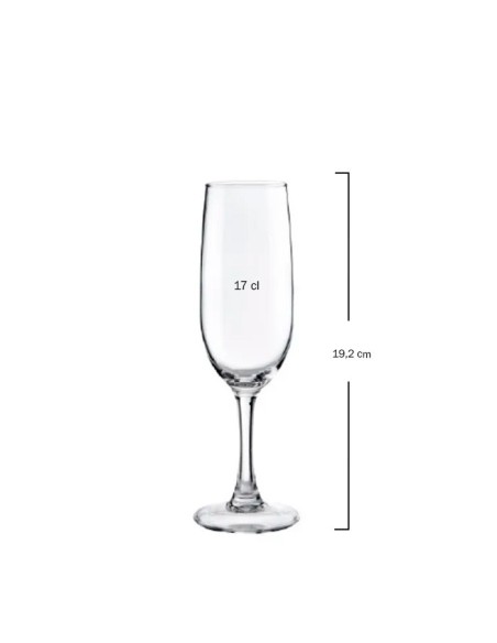 Copa de Champagne Syrah 17cl - Vicrila (6uds)