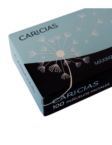 Pañuelos faciales 2C (4000Uds)