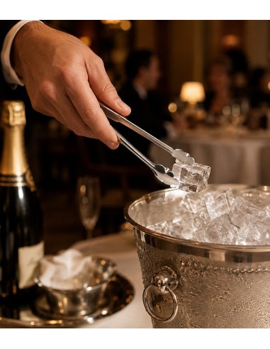 Pinza hielo inox con muelle de Comas