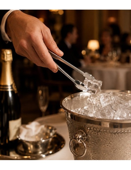 Pinza hielo inox con muelle de Comas