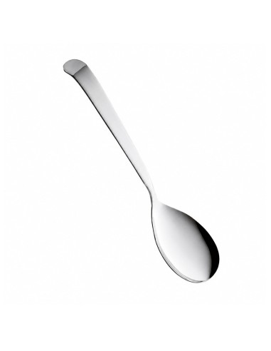 Cuchara multiusos 30cm ISOGONA