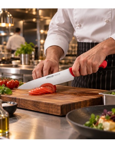 Cuchillo cocinero 25cm rojo de Arcos
