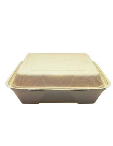 Envase con tapa bisagra bagazo 235x235x85mm (4x50uds) - Muñoz B