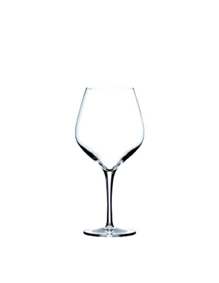 Copa borgoña 65cl "EXQUISIT" (6uds)