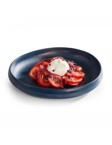 Plato presentación Melamina 30x28,5x4,5cm Water (1Ud)