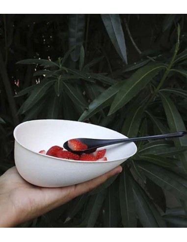 Cuchara EKO Spoon Black 17,7x4,2x1,2cm (50Uds)