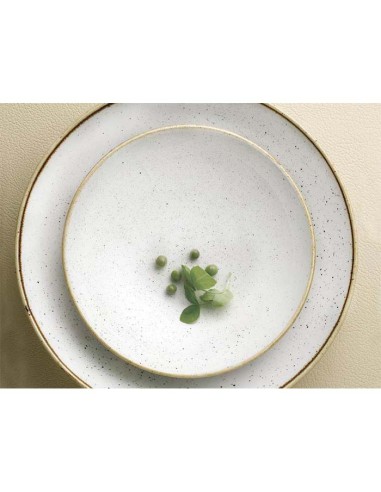Plato coupe Ø21,7cm “STONECAST” (12Uds)