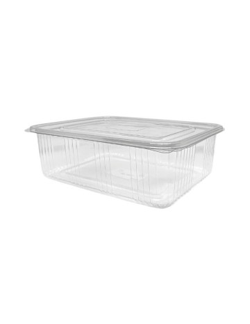 Envase bisagra PET 2