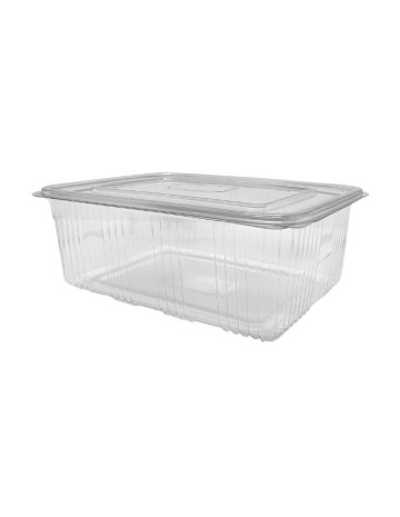 Envase de Plástico PET con Tapa Bisagra 2