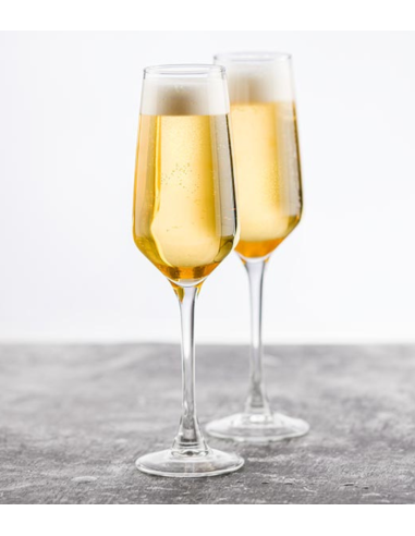 Copa Cava Chardonnay 17,5cl (6uds)