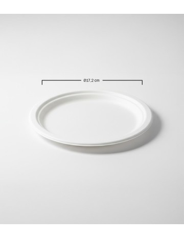 Plato fibra moldeada 2