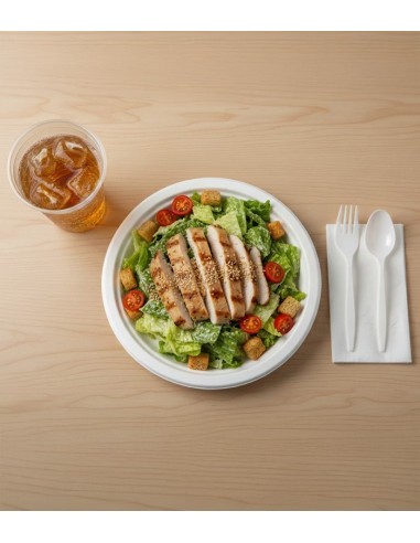 Plato fibra moldeada