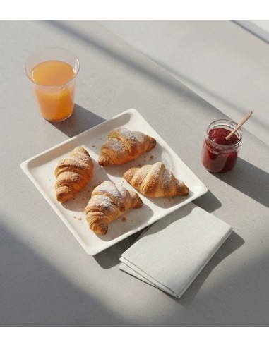 Plato cuadrado de bagazo