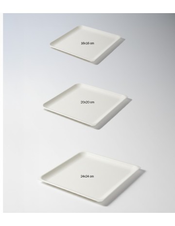 Plato Cuadrado de Bagazo Biodegradable | Desechables Ecológicos 2