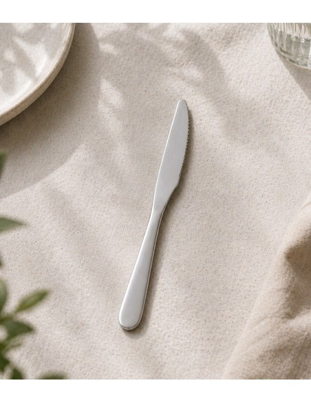 Cuchillo de mesa polipropileno de AMC (12Uds)