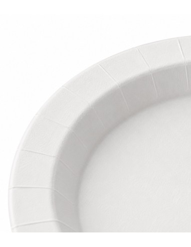 Plato Redondo en Cartón Blanco - Betik (500Uds)