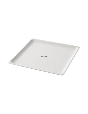 Plato Cuadrado de Bagazo Biodegradable | Desechables Ecológicos 2