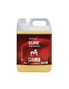 Garrafa // 2 uds x 5L