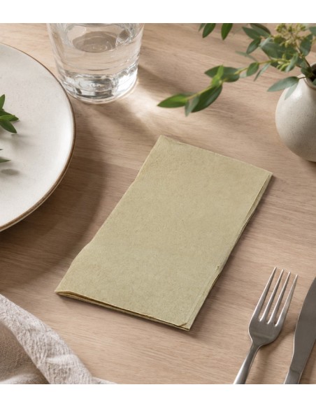 Servilleta ECO P.P. 2c 1/6 30x40cm (1000uds)