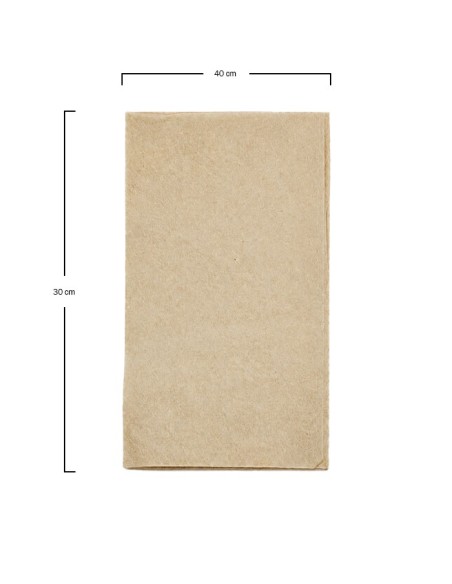 Servilleta ECO P.P. 2c 1/6 30x40cm (1000uds)