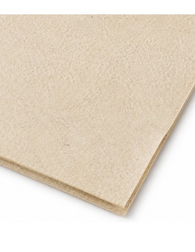 Servilleta Tissue ECO 2C 20x20cm - Tissuan (6000Uds)