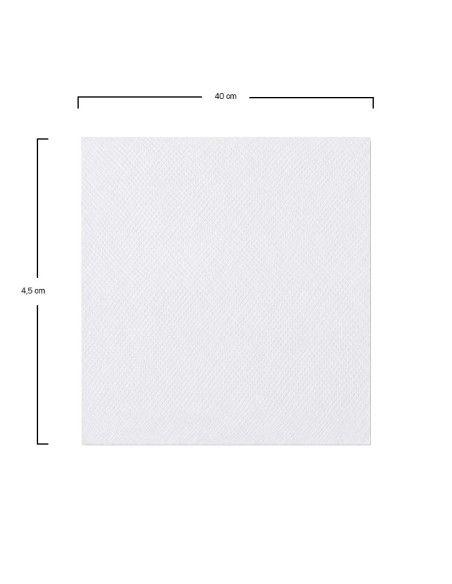 Servilleta Extra Suave Xpressap SCA N10 - Tork (9000Uds)