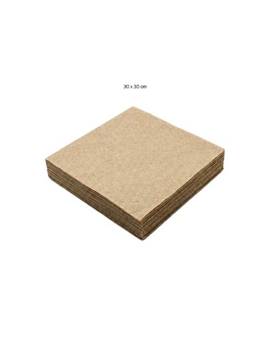 Servilleta Tissue ECO 1C 30x30cm - Tissuan (4800uds)