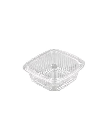 Envase de Plástico PET con Tapa Bisagra